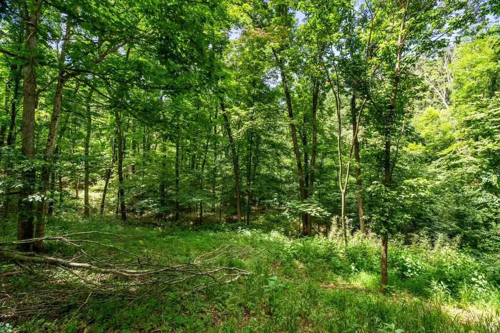 500 Moncrief Avenue Goodlettsville TN 37072