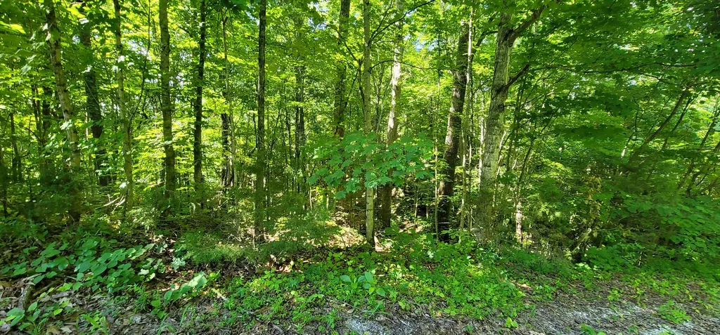 1250 Yellow Flats Road Spencer TN 38585