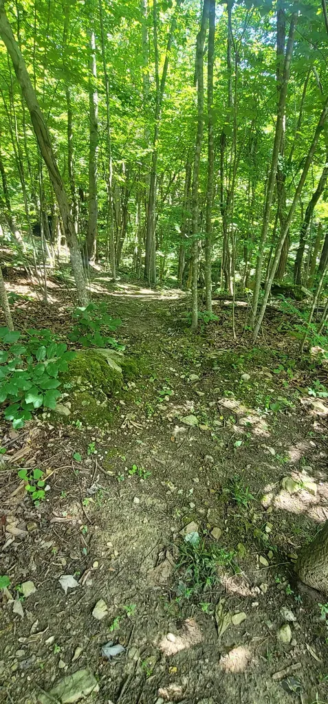 1250 Yellow Flats Road Spencer TN 38585