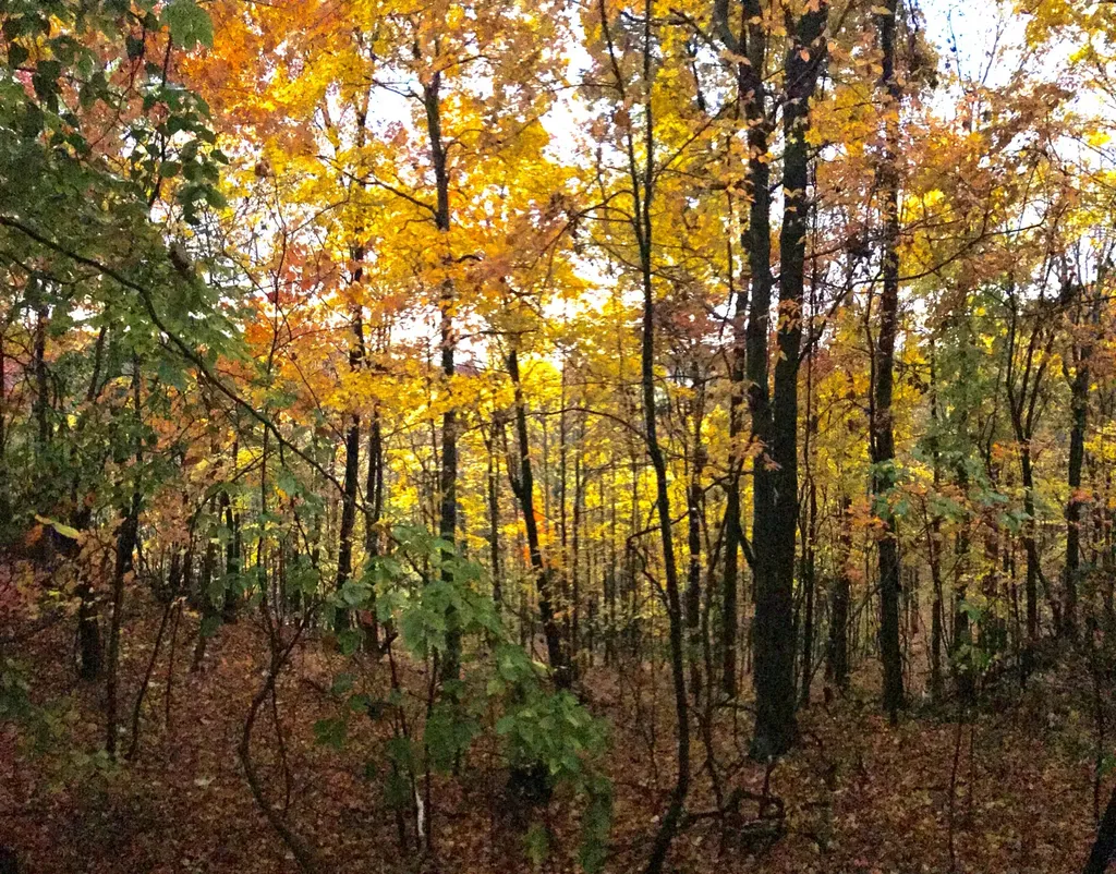 1250 Yellow Flats Road Spencer TN 38585