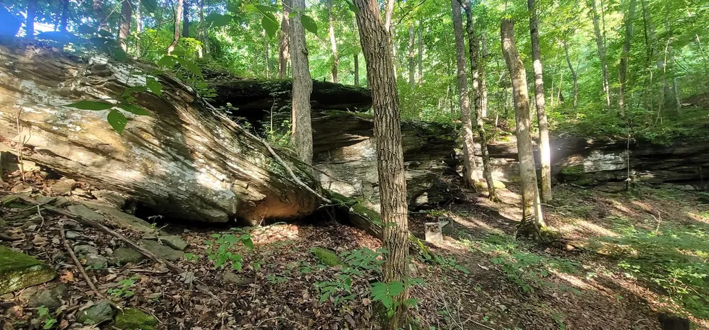 1250 Yellow Flats Road Spencer TN 38585
