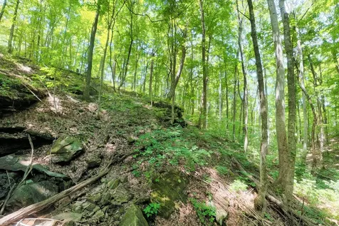 1250 Yellow Flats Road Spencer TN 38585