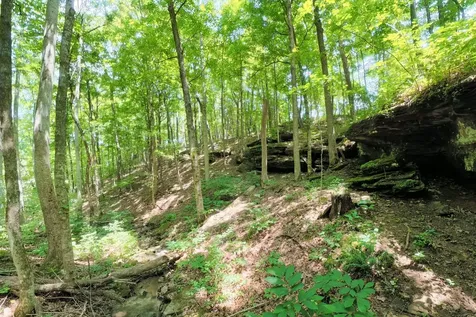 1250 Yellow Flats Road Spencer TN 38585