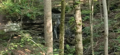 1250 Yellow Flats Road Spencer TN 38585