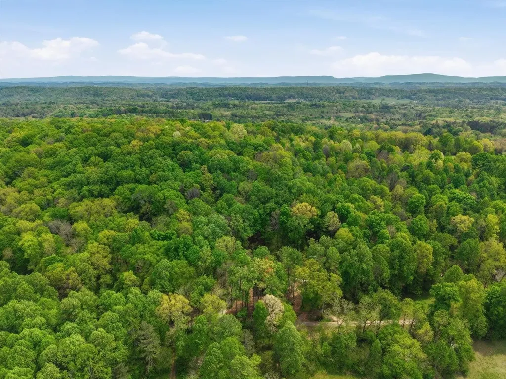 207 County Road 90 Riceville TN 37370