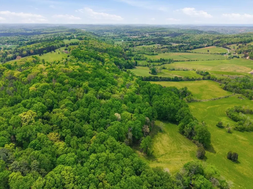 207 County Road 90 Riceville TN 37370