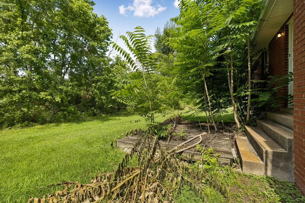 3320 Highway 49, E Charlotte TN 37036