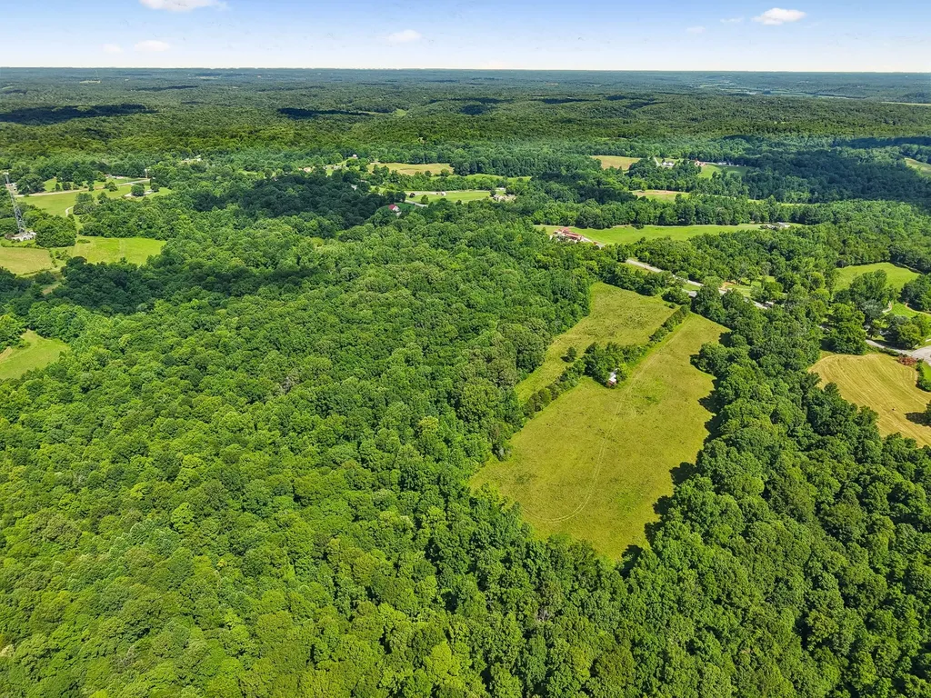 3320 Highway 49, E Charlotte TN 37036