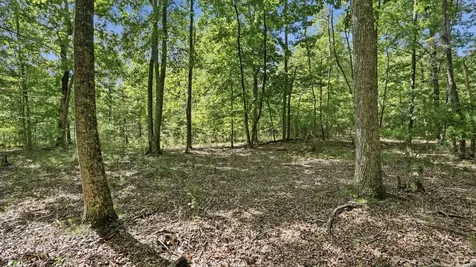 0 Eagle Crest Circle Monteagle TN 37356