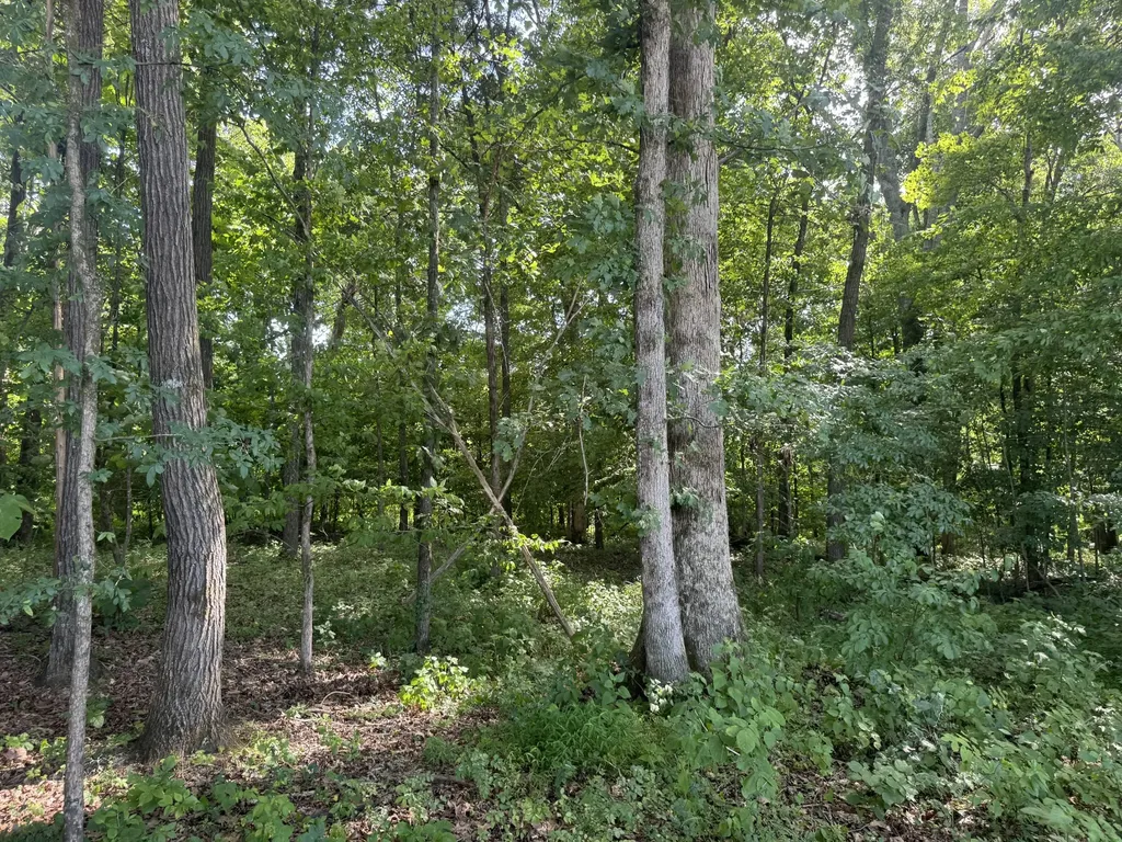 0 Rivy Way Lewisburg TN 37091