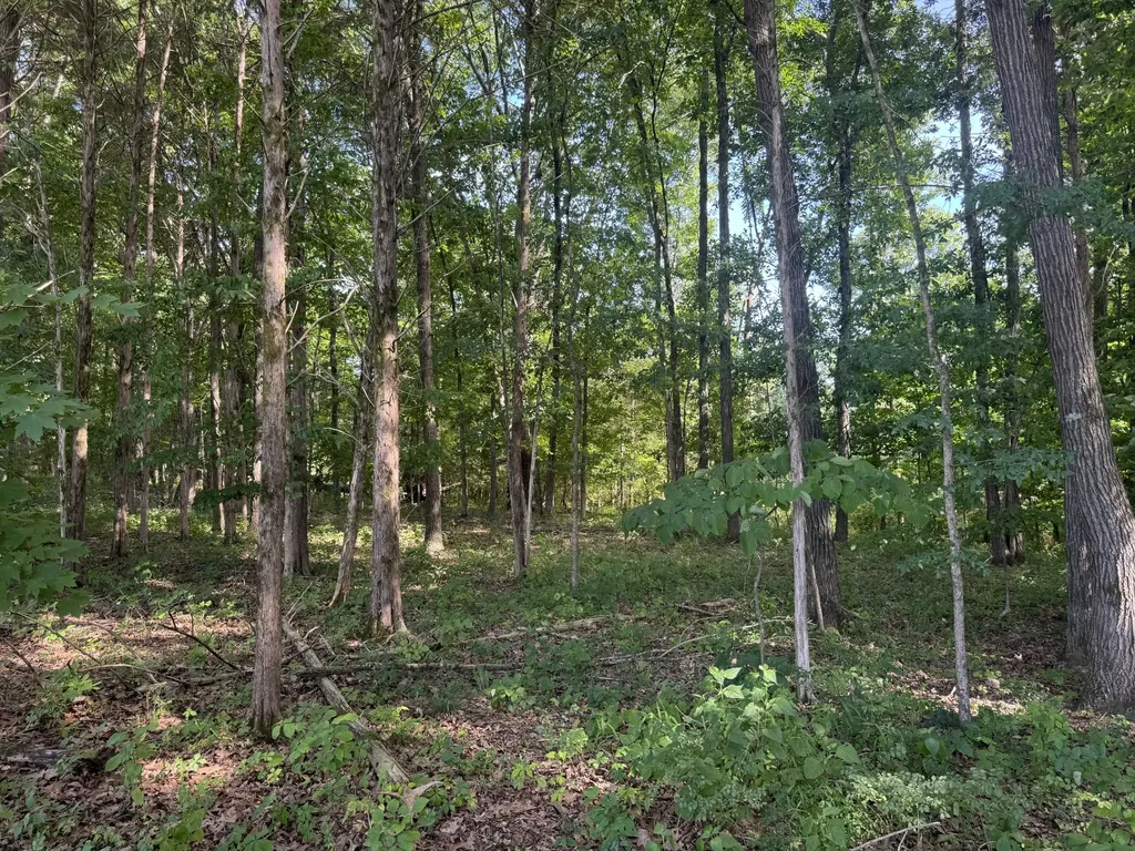 0 Rivy Way Lewisburg TN 37091