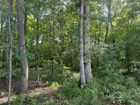 0 Rivy Way Lewisburg TN 37091
