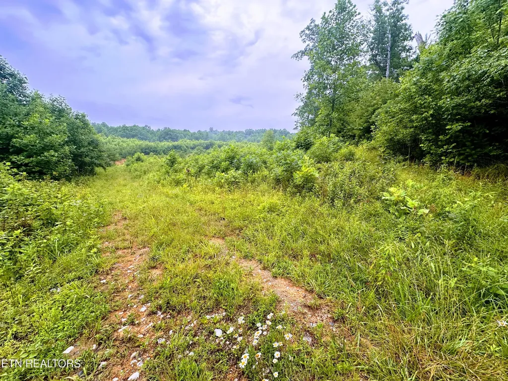 1344 Chestnut Ridge Road Allardt TN 38504