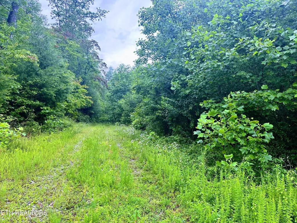 1344 Chestnut Ridge Road Allardt TN 38504
