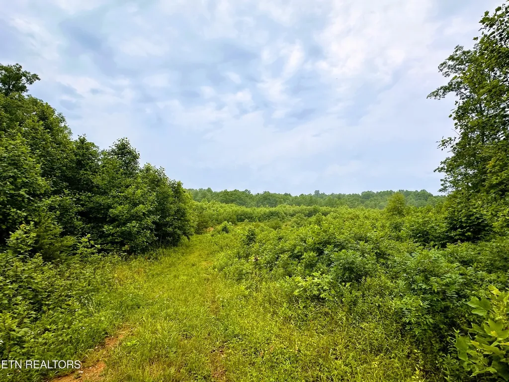 1344 Chestnut Ridge Road Allardt TN 38504