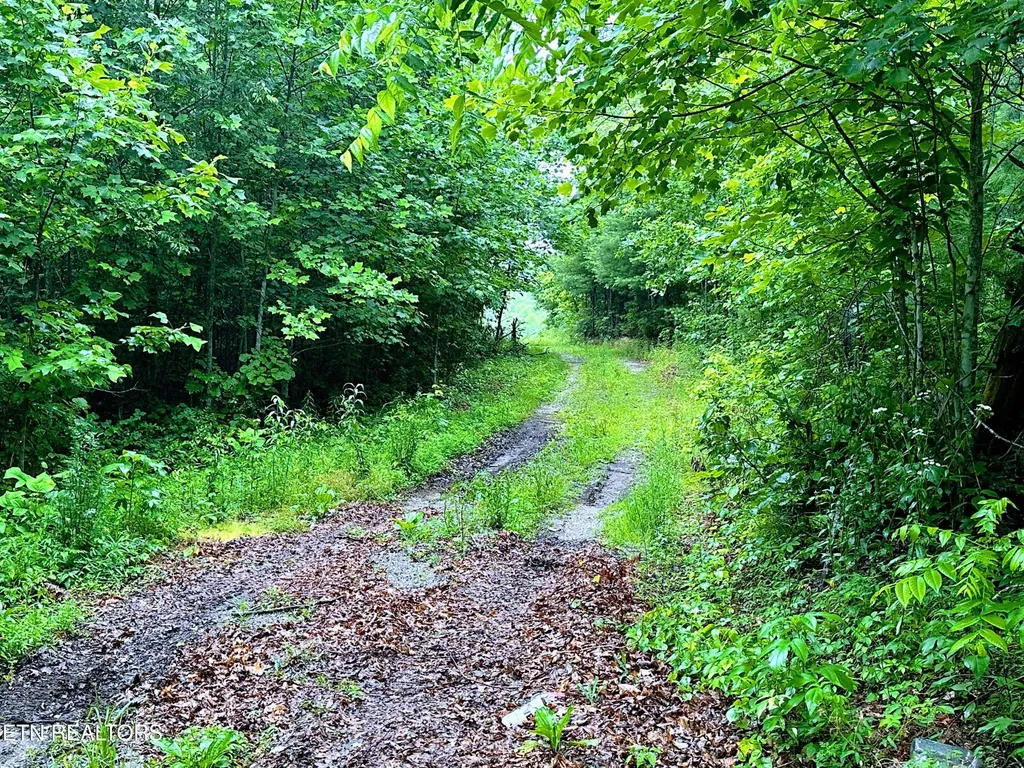 1344 Chestnut Ridge Road Allardt TN 38504