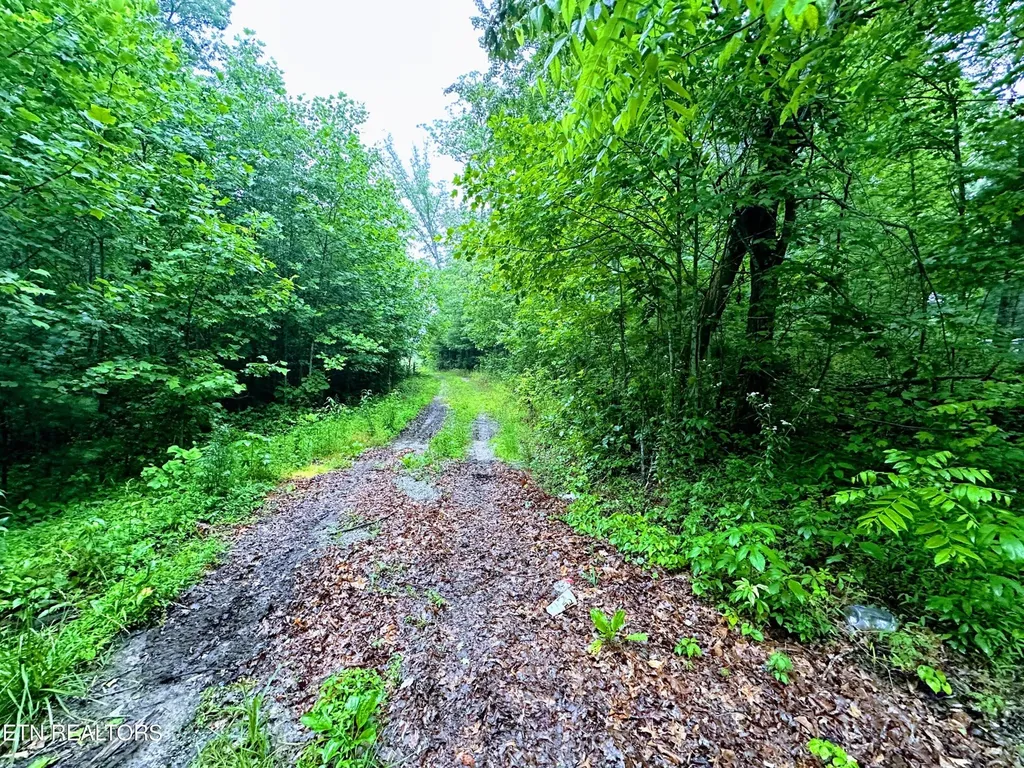 1344 Chestnut Ridge Road Allardt TN 38504