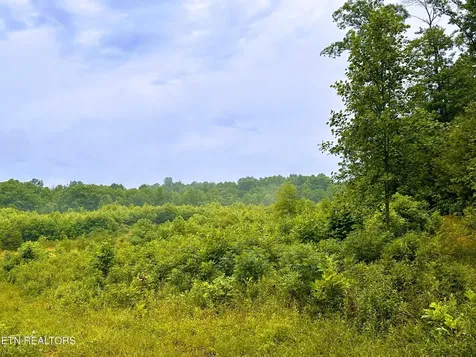 1344 Chestnut Ridge Road Allardt TN 38504