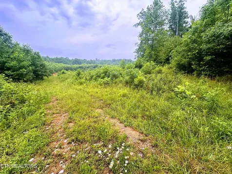 1344 Chestnut Ridge Road Allardt TN 38504