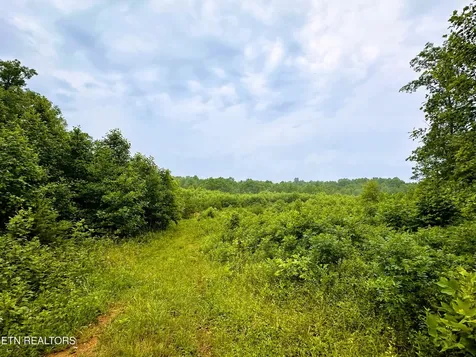 1344 Chestnut Ridge Road Allardt TN 38504