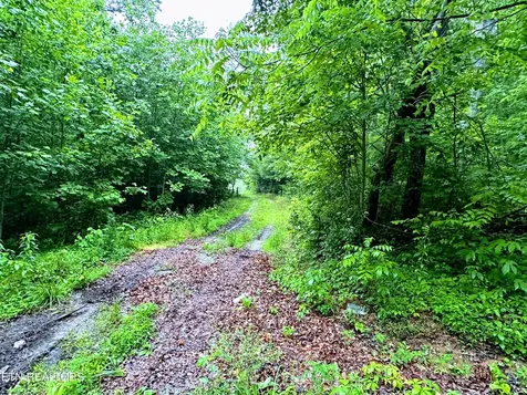 1344 Chestnut Ridge Road Allardt TN 38504