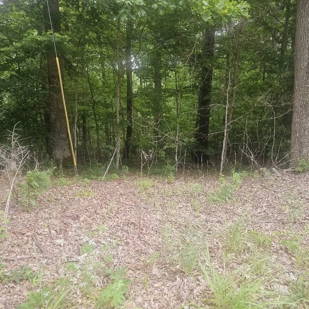 0 Scenic Drive Dickson TN 37055