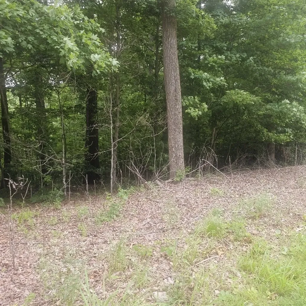 0 Scenic Drive Dickson TN 37055