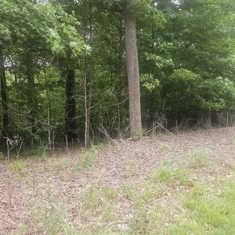 0 Scenic Drive Dickson TN 37055