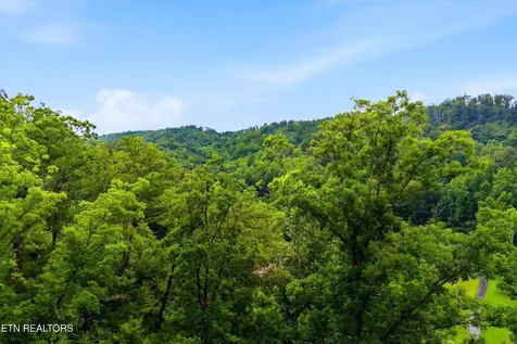 127 Beech Branch Road Gatlinburg TN 37738