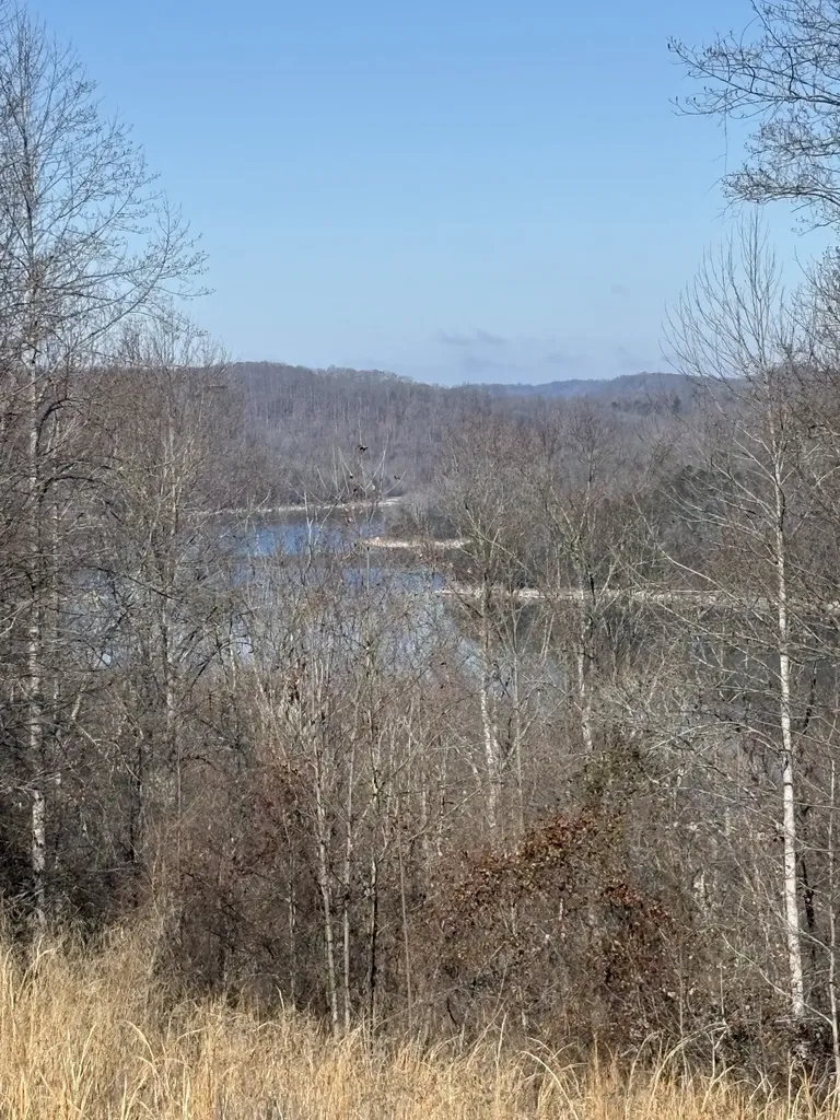 280 Timber Lane Sparta TN 38583