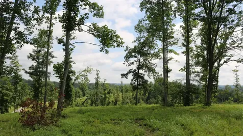 1037 Fairview Boulevard Franklin TN 37064