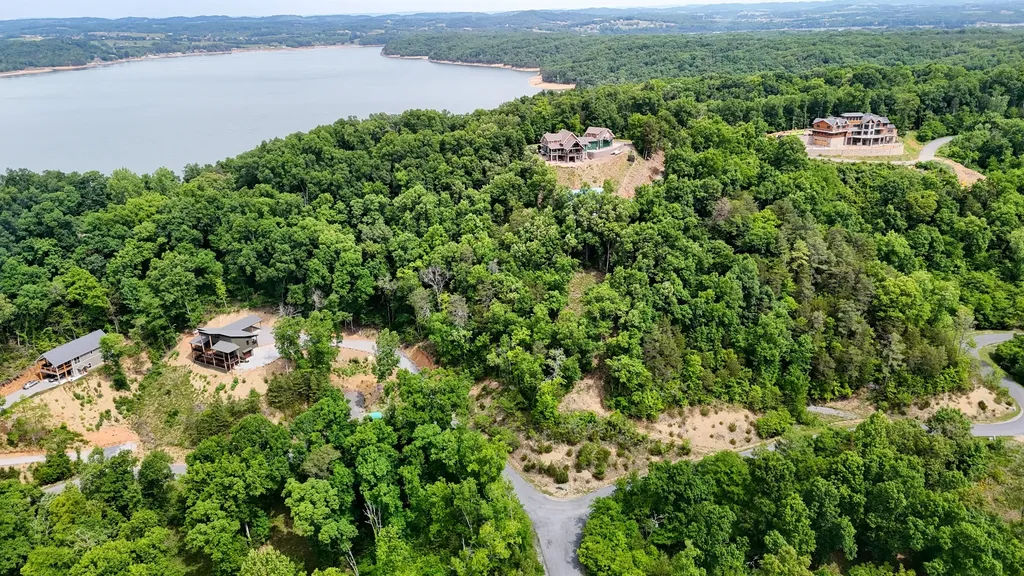 78 Stone Bridge Dandridge TN 37725