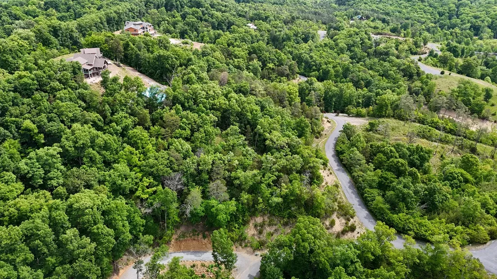 78 Stone Bridge Dandridge TN 37725
