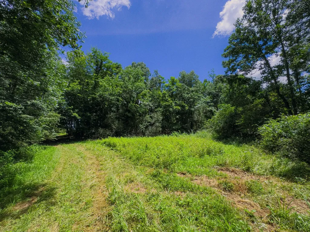 7447 Greer Road, N Goodlettsville TN 37072