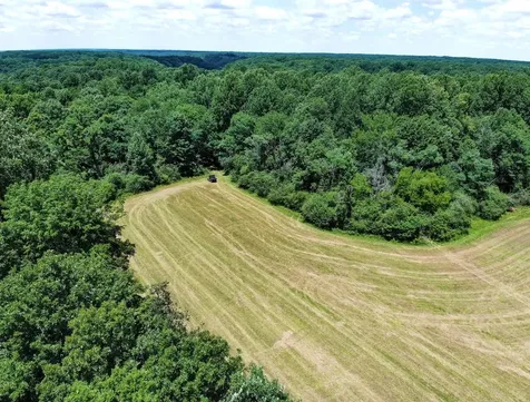 7447 Greer Road, N Goodlettsville TN 37072
