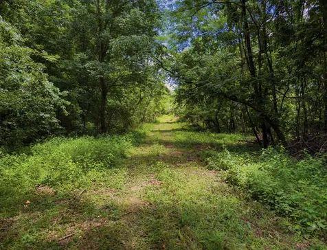 7447 Greer Road, N Goodlettsville TN 37072