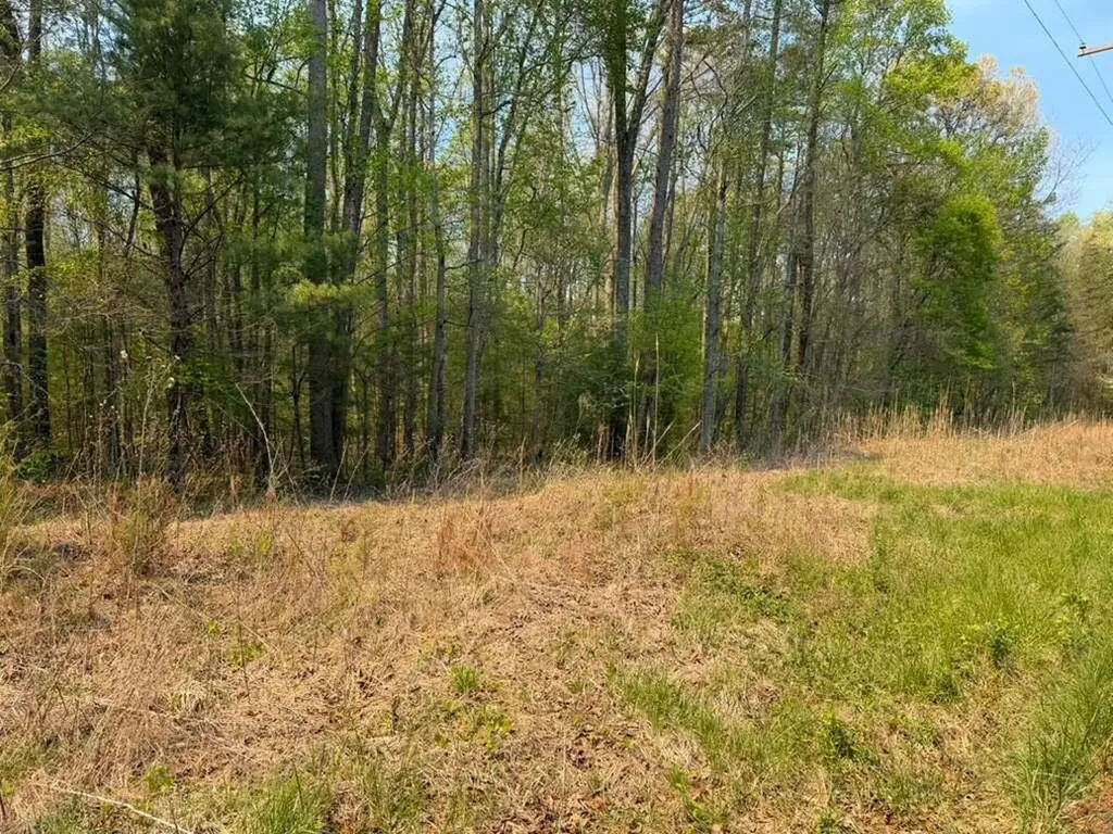 0 Ironsburg Road Tellico Plains TN 37385