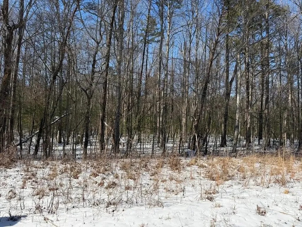 0 Ironsburg Road Tellico Plains TN 37385
