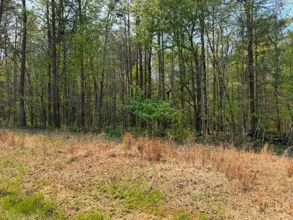 0 Ironsburg Road Tellico Plains TN 37385