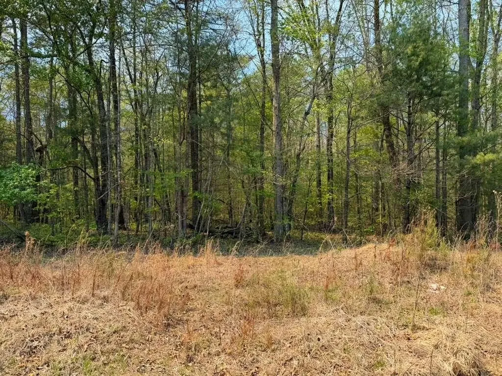 0 Ironsburg Road Tellico Plains TN 37385