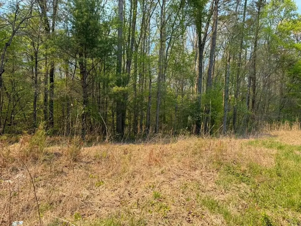 0 Ironsburg Road Tellico Plains TN 37385