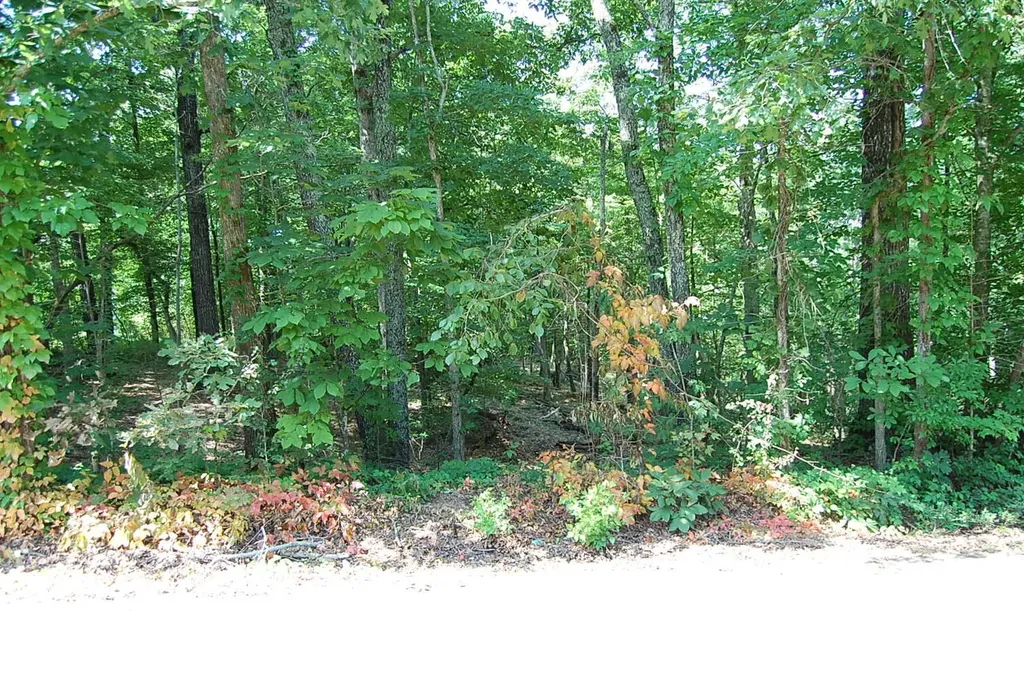 65 Dogwood Lane Dunlap TN 37327