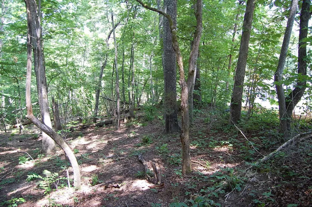 65 Dogwood Lane Dunlap TN 37327
