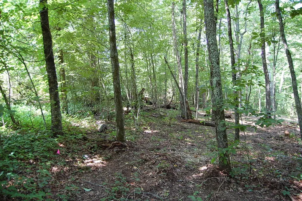 65 Dogwood Lane Dunlap TN 37327