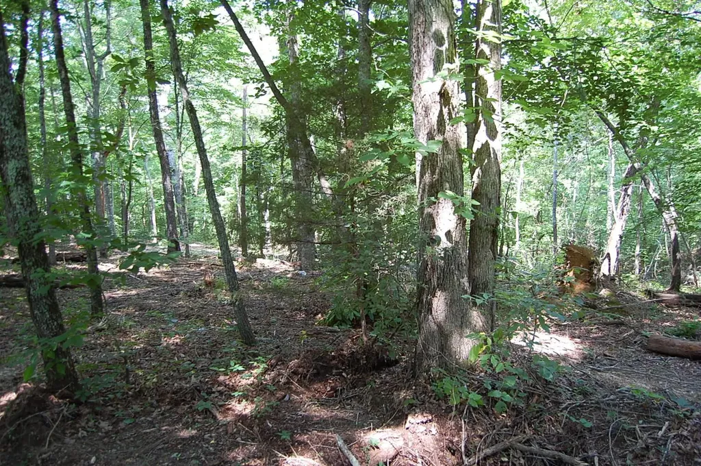 65 Dogwood Lane Dunlap TN 37327