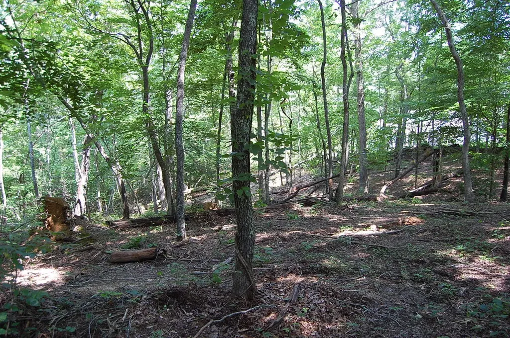 65 Dogwood Lane Dunlap TN 37327