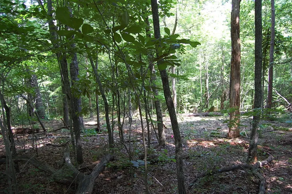 65 Dogwood Lane Dunlap TN 37327