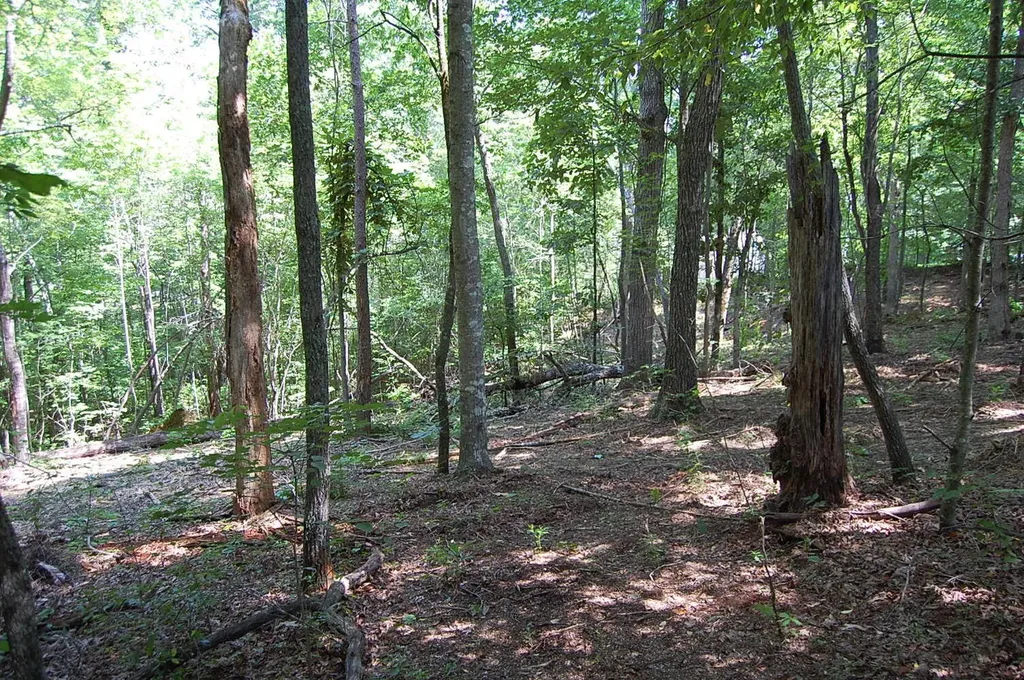 65 Dogwood Lane Dunlap TN 37327