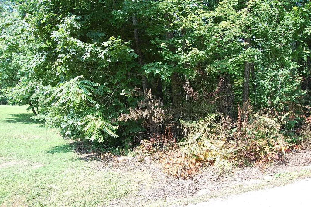 65 Dogwood Lane Dunlap TN 37327