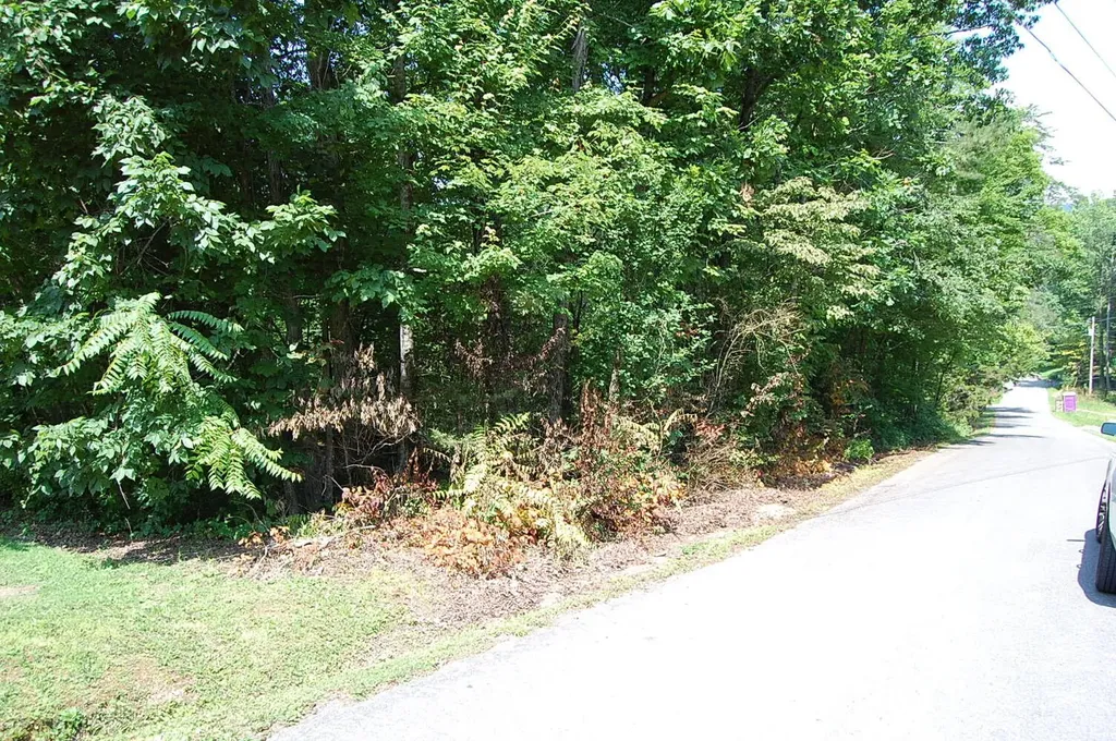65 Dogwood Lane Dunlap TN 37327